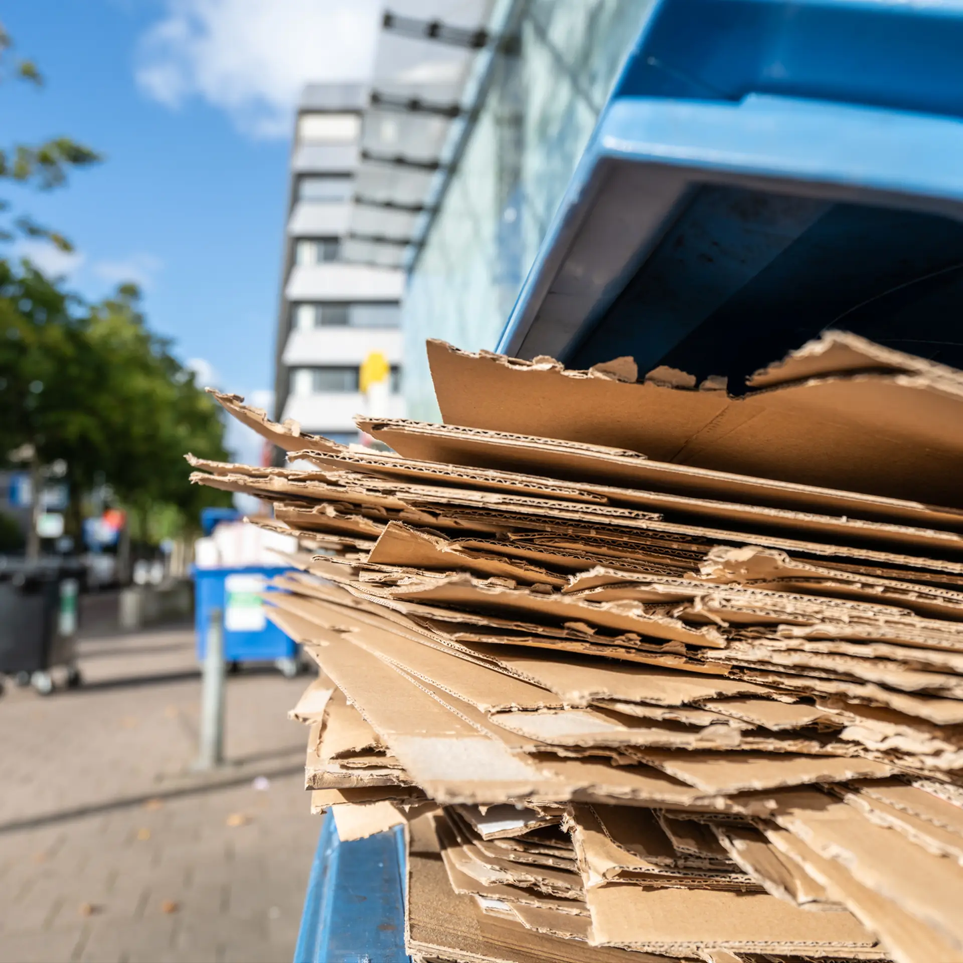 EMERGE’s cardboard collection